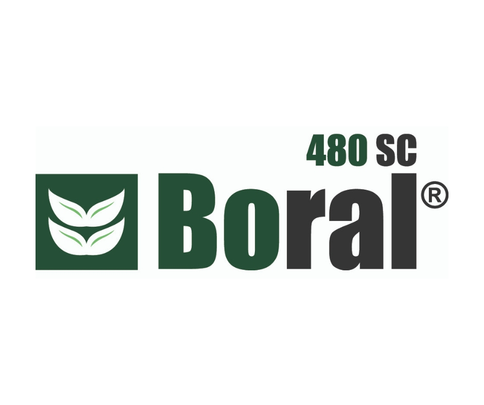 Boral 480 SC
