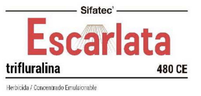 Escarlata 480 CE