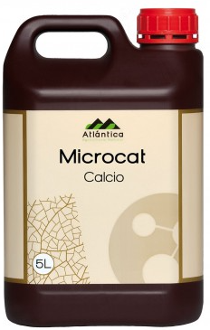 MICROCAT CALCIO